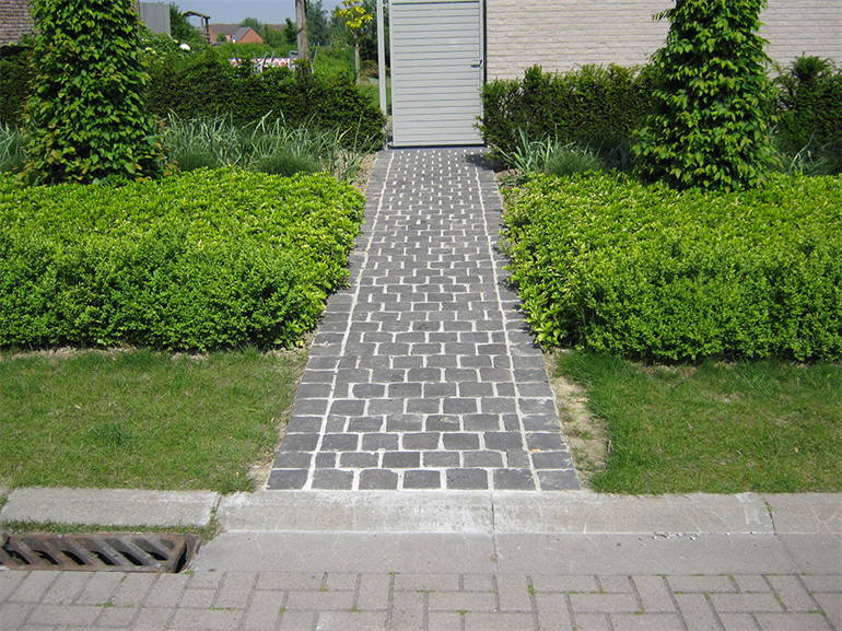 Terras met padje en oprit