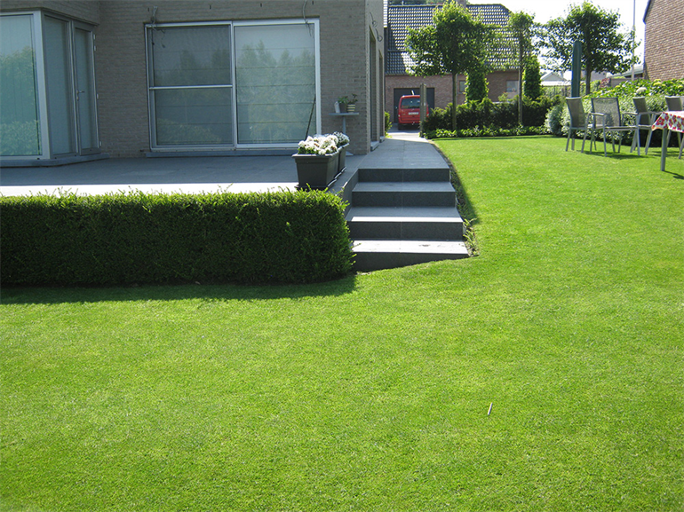Terras met padje en oprit