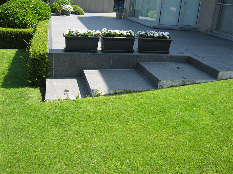 Terras met padje en oprit